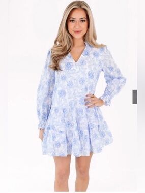 NWT J. Marie Palmer V-Neck long sleeve dress- Blue Floral- Size Small